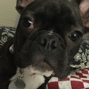 Meet your Posher, Kim